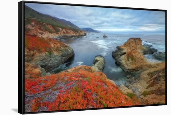 Seascape at Soberanes Point-Vincent James-Framed Stretched Canvas