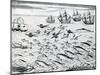 Seascape from 'India Orientalis', 1598-Theodore de Bry-Mounted Giclee Print