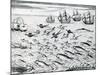 Seascape from 'India Orientalis', 1598-Theodore de Bry-Mounted Giclee Print