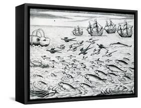 Seascape from 'India Orientalis', 1598-Theodore de Bry-Framed Stretched Canvas