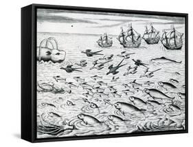 Seascape from 'India Orientalis', 1598-Theodore de Bry-Framed Stretched Canvas