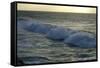 Seascape, Fuerteventura, Canary Islands-Peter Thompson-Framed Stretched Canvas