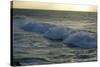 Seascape, Fuerteventura, Canary Islands-Peter Thompson-Stretched Canvas