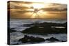 Seascape, Fuerteventura, Canary Islands-Peter Thompson-Stretched Canvas