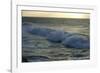 Seascape, Fuerteventura, Canary Islands-Peter Thompson-Framed Photographic Print