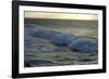 Seascape, Fuerteventura, Canary Islands-Peter Thompson-Framed Photographic Print