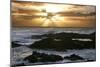 Seascape, Fuerteventura, Canary Islands-Peter Thompson-Mounted Photographic Print