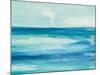 Seascape I-Chris Paschke-Mounted Art Print