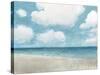 Seascape IV-James Wiens-Stretched Canvas