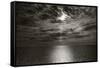 Seascape, North Carolina, USA-Simon Marsden-Framed Stretched Canvas