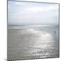 Seascape - Solo-Malcolm Sanders-Mounted Giclee Print