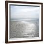 Seascape - Solo-Malcolm Sanders-Framed Giclee Print