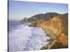 Seascape with Cliffs, San Mateo County, CA-Shmuel Thaler-Stretched Canvas