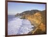 Seascape with Cliffs, San Mateo County, CA-Shmuel Thaler-Framed Photographic Print