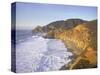 Seascape with Cliffs, San Mateo County, CA-Shmuel Thaler-Stretched Canvas