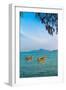 Seascape with Longtail Boats in Phuket-David Ionut-Framed Photographic Print