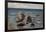 Seascape-Yefim Yefimovich Volkov-Framed Giclee Print