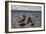 Seascape-Yefim Yefimovich Volkov-Framed Giclee Print