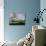 Seascape-Jacob Knyff-Giclee Print displayed on a wall