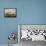 Seascape-Ludolf Backhuysen-Framed Stretched Canvas displayed on a wall
