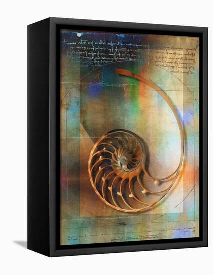 Seashell and Handwriting-Colin Anderson-Framed Stretched Canvas