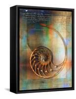 Seashell and Handwriting-Colin Anderson-Framed Stretched Canvas