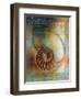 Seashell and Handwriting-Colin Anderson-Framed Premium Photographic Print