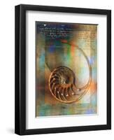 Seashell and Handwriting-Colin Anderson-Framed Premium Photographic Print