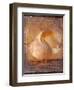 Seashell and Handwriting-Colin Anderson-Framed Photographic Print