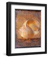 Seashell and Handwriting-Colin Anderson-Framed Photographic Print