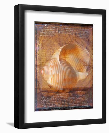 Seashell and Handwriting-Colin Anderson-Framed Photographic Print