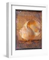 Seashell and Handwriting-Colin Anderson-Framed Photographic Print