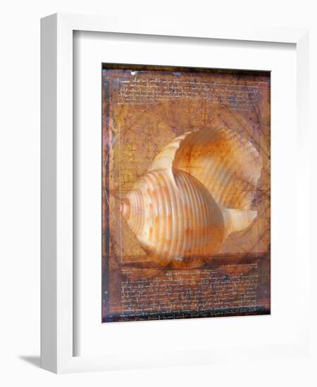 Seashell and Handwriting-Colin Anderson-Framed Photographic Print