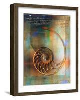 Seashell and Handwriting-Colin Anderson-Framed Photographic Print