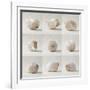 Seashell Chorus-Assaf Frank-Framed Giclee Print