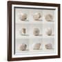 Seashell Chorus-Assaf Frank-Framed Giclee Print