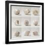 Seashell Chorus-Assaf Frank-Framed Giclee Print