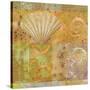 Seashell Collage-Pierre Fortin-Stretched Canvas