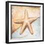 Seashell Collection II-Patricia Pinto-Framed Art Print