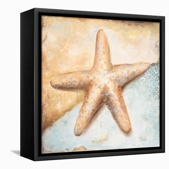 Seashell Collection II-Patricia Pinto-Framed Stretched Canvas