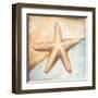 Seashell Collection II-Patricia Pinto-Framed Art Print