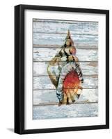 Seashell II-null-Framed Art Print