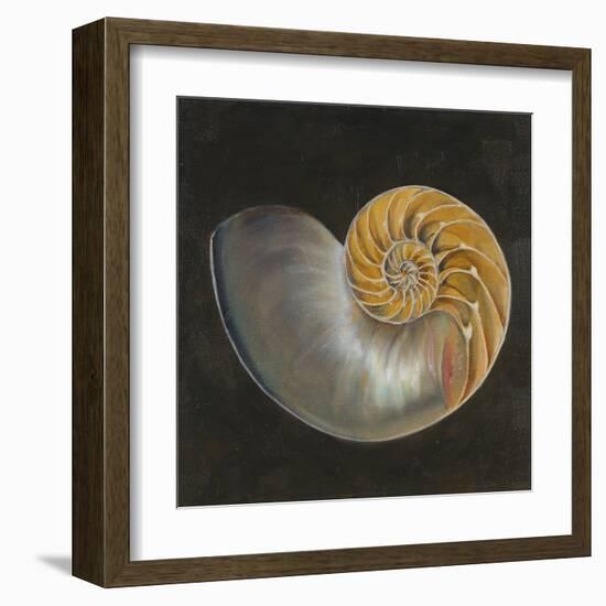 Seashell III-Patricia Pinto-Framed Art Print