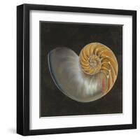 Seashell III-Patricia Pinto-Framed Art Print