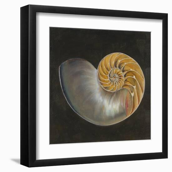 Seashell III-Patricia Pinto-Framed Art Print