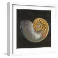 Seashell III-Patricia Pinto-Framed Art Print