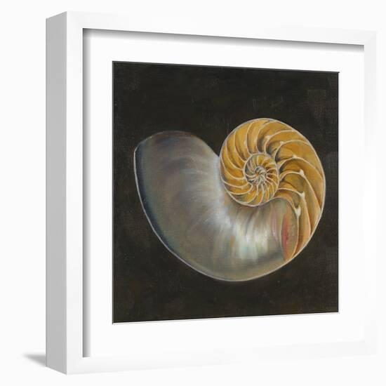 Seashell III-Patricia Pinto-Framed Art Print