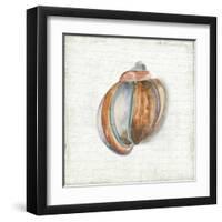 Seashell Portrait II-Aimee Wilson-Framed Art Print