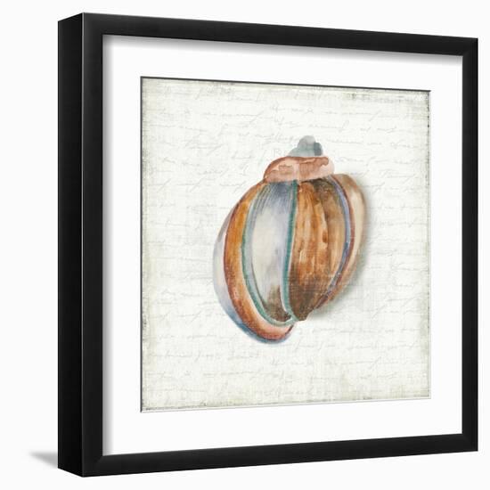 Seashell Portrait II-Aimee Wilson-Framed Art Print