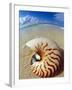 Seashell Sitting in Shallow Water-Leslie Richard Jacobs-Framed Premium Photographic Print